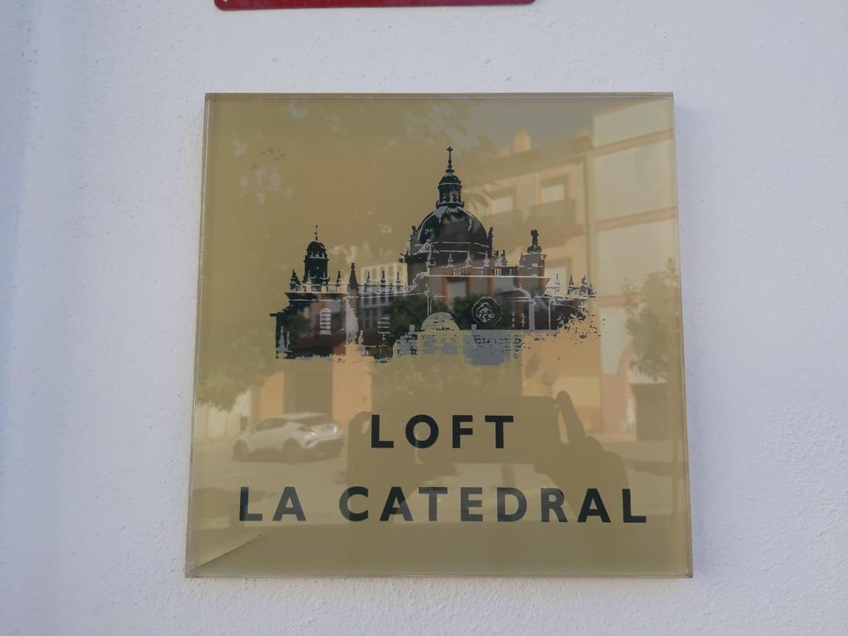 Loft La Catedral - Parking Disponible Apartment เฮเรซ เด ลาฟรอนเตรา ภายนอก รูปภาพ